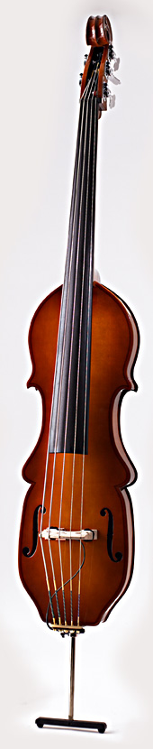 5-String Eminence Bass